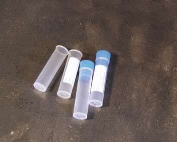 Provette cilindriche fondo piatto da 5 ml – Senza tappo e senza etichetta