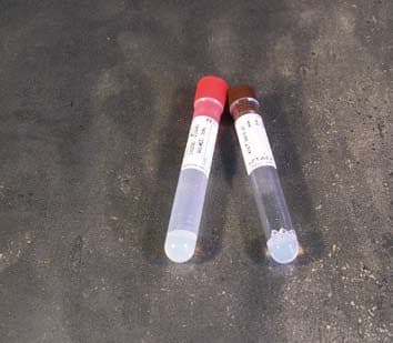 Provette con gel separatore e acceleratore della coagulazione per 10 ml di sangue – Polipropilene - Con etichetta - tappo rosso